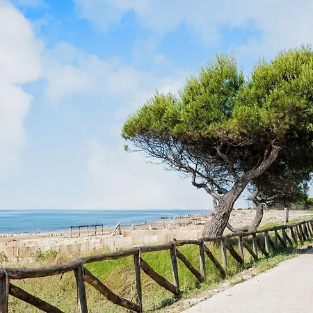 דירה Beachfront With Stunning Ocean Views ביביונה